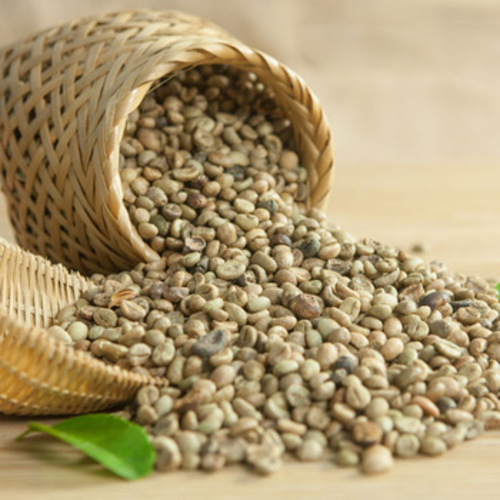Wild Spices India Pvt. Ltd. Wild Spices India Pvt. Ltd.