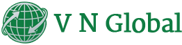 V N Global