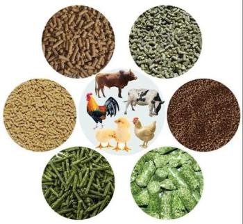 Animal Feed
