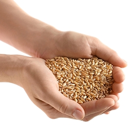 Handpicked Grains
