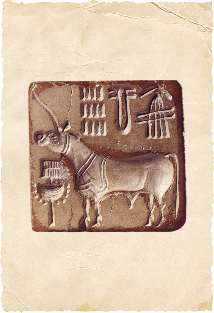 Cerafa Exim Private Limited Cerafa Exim Private Limited