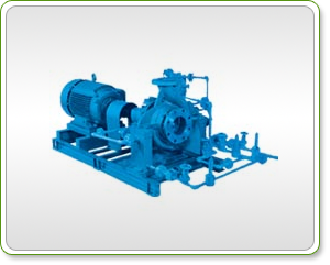 Process Pumps