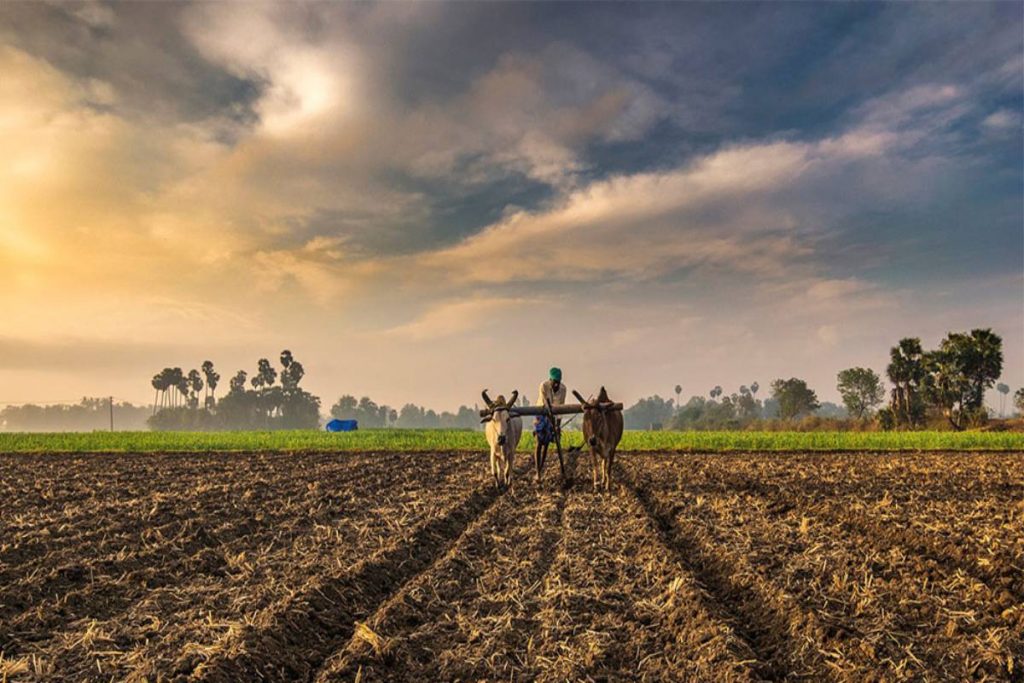 Our Farmers