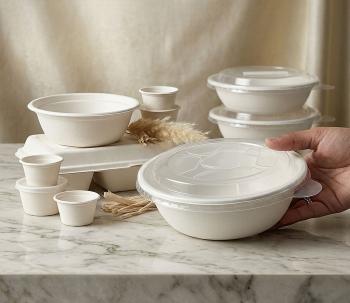 Bagasse Bowls & Portion Cups