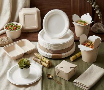 Sugarcane Bagasse Food Containers & Boxes