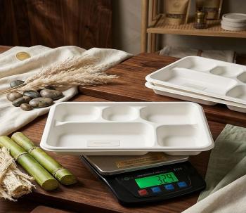 Sugarcane Bagasse Meal Trays