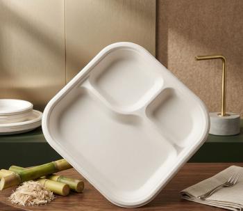 Sugarcane Bagasse Plates & Thalis