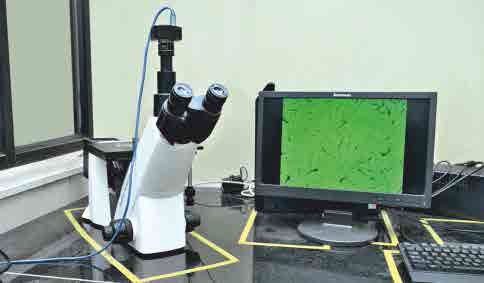 MICROSCOPE