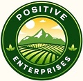 Positive Enterprises