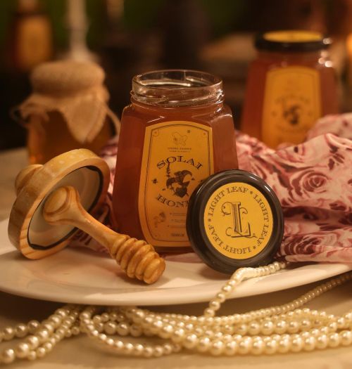 Light Leaf Hydroponics LLP