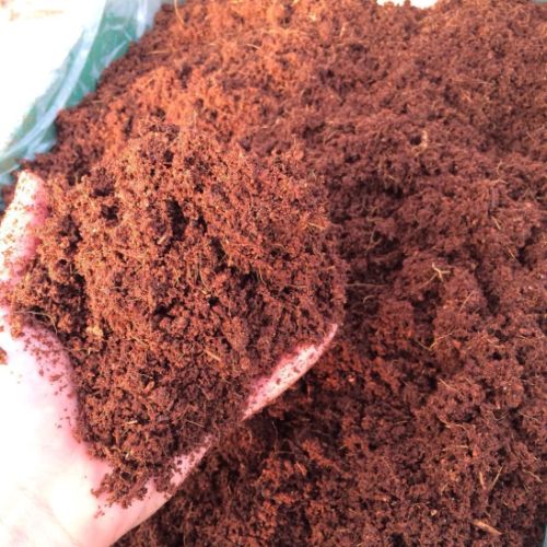 PLRD And Sons PLRD And Sons