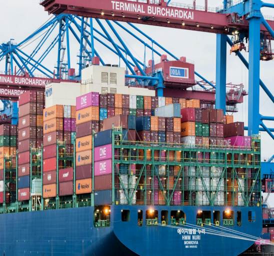 Jay Global Export
