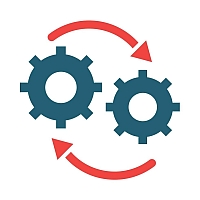 Our Process
