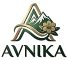 Avnika Healthcare