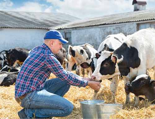 Agriculture & Animal Nutrition