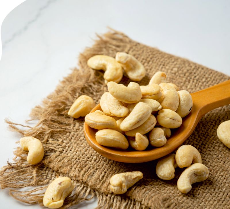 Malnad Cashew Industry