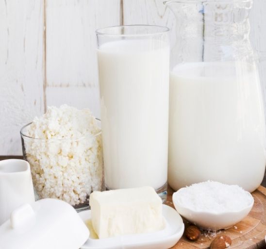 Shree Mahadev Enterprises