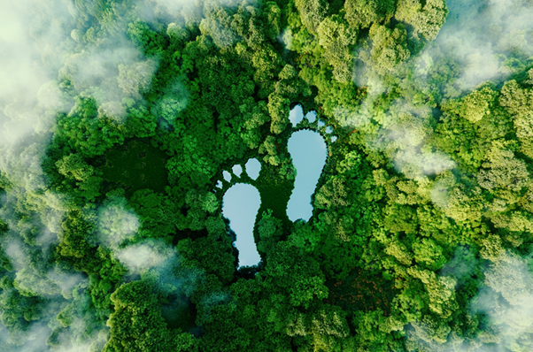 Carbon Footprint