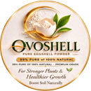 Ovo Shells