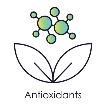Rich in Antioxidants
