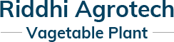 Riddhi Agrotech Vagetable Dehydration Plant Kondhala