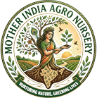 Mother India Agro Nursery