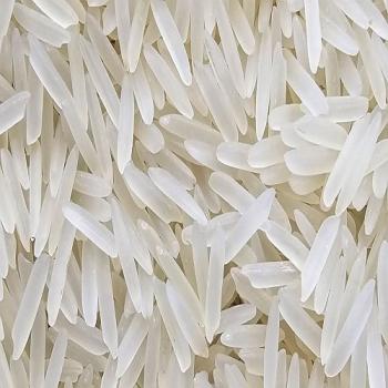 RH10 Rice