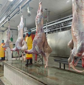 Automated Portioning & Production Floor