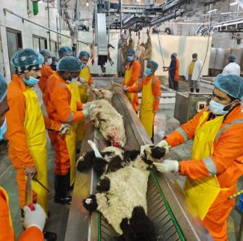 Raw Material Inspection & Sorting