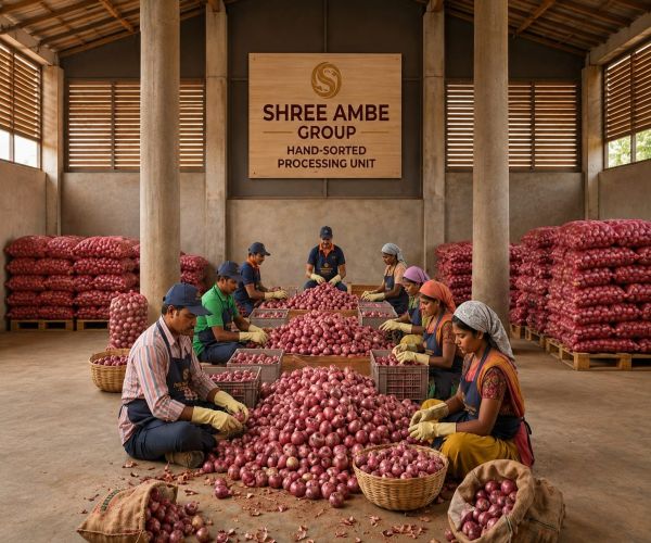 Shree Ambe Traders Shree Ambe Traders