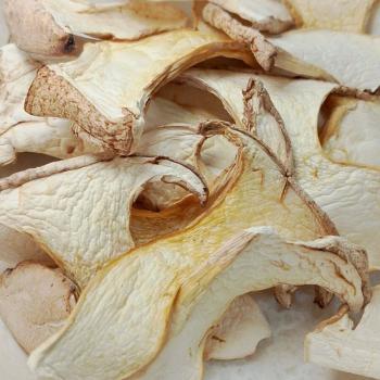 Dehydrated Oyster Mushroom Collection