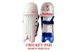 Cricket Pads