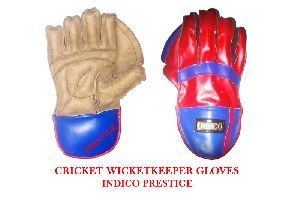 Cricket Wicket Keeper Gloves