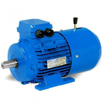 Electric Motors