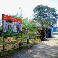 Main Entrance