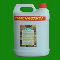 Panchagavya 5 Ltrs
