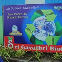 SGB 1