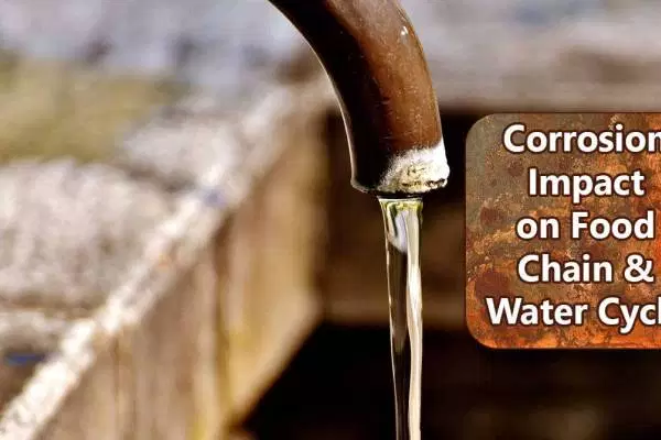 Corrosion Impact on Food Chain & Water Cycle