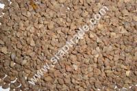 Oil Seeds