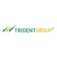 Trident India Ltd