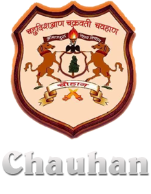 Chauhan Electronics