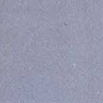Kota Stone Blue