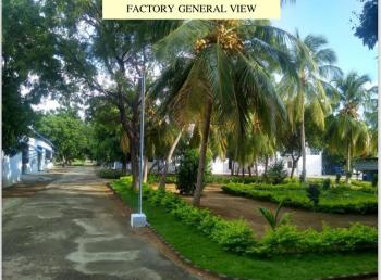 Factory General View (1)