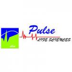 Pulse