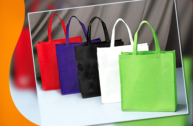 carry bag non woven manufacturers