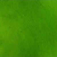 Green Fancy Handmade Paper