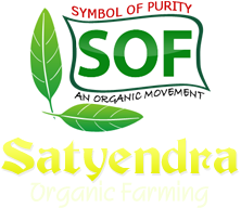Satyendra Organic Farming