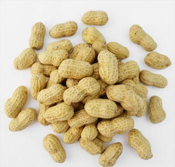 Whole Grains