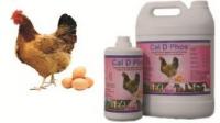 Poultry Feed Supplements