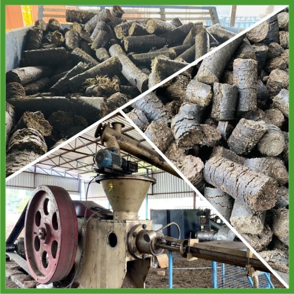 Waste Management (Briquette Making Plant)